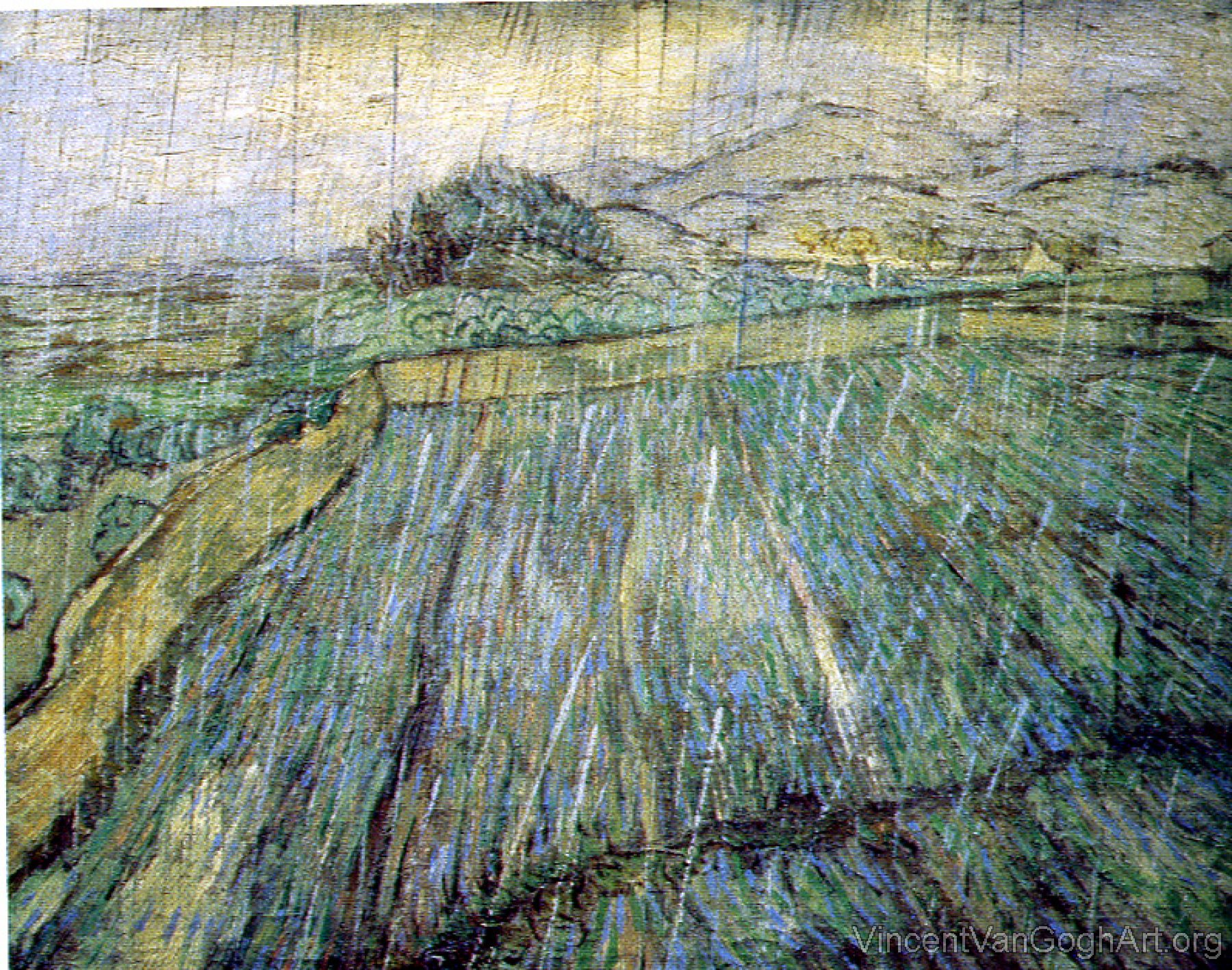 Enclosed Field in the Rain